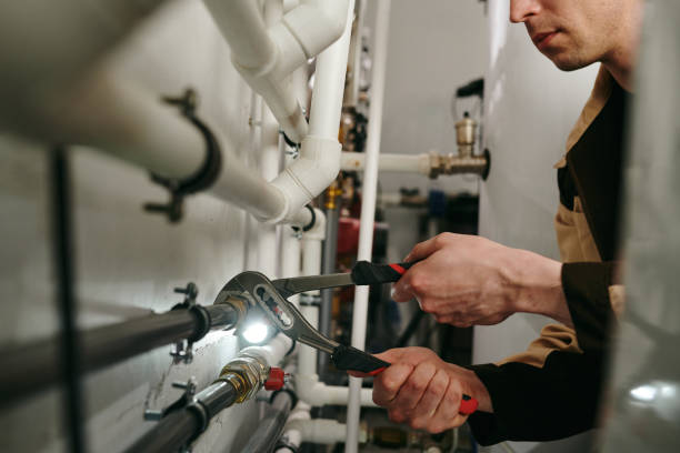 Best Septic Systems  in Carlisle Rockledge, AL